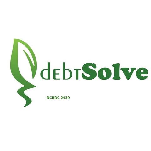 DebtSolve logo