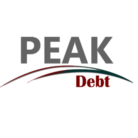Peak Debt Counselling logo
